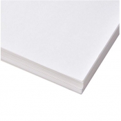 白果树 平面皮纹纸 印刷封皮纸 假皮纹 装订封皮 装订封面纸  A4  (纯白色A4) 
